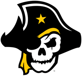 Southwestern University banner logo